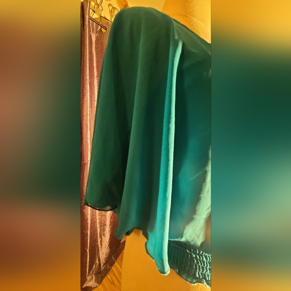 IZ Buyer blouse - Picture 3 of 5